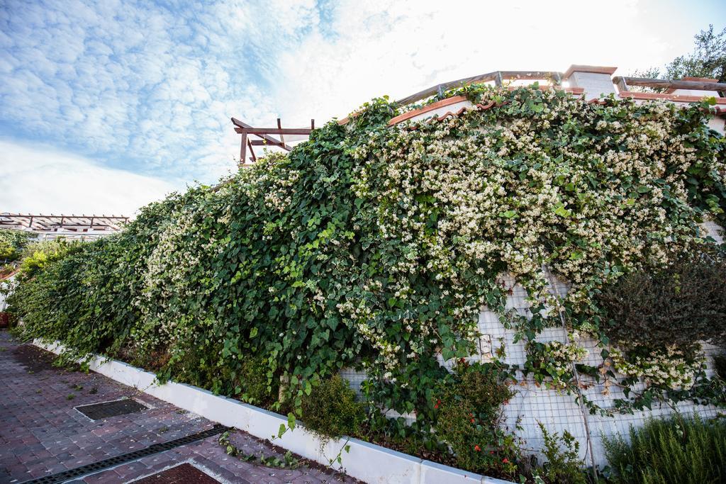 Holiday Lodge Al Porto マッティナータ エクステリア 写真